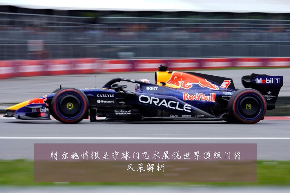 特尔施特根坚守球门艺术展现世界顶级门将风采解析